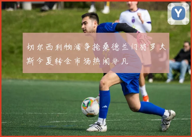 切尔西利物浦争抢桑德兰门将罗夫斯今夏转会市场热闹非凡