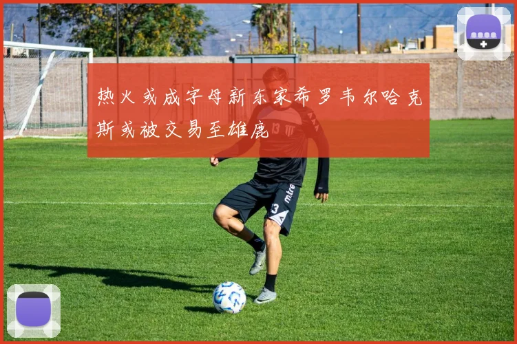 热火或成字母新东家希罗韦尔哈克斯或被交易至雄鹿
