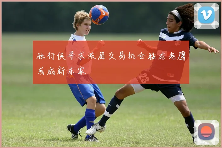 独行侠寻求浓眉交易机会猛龙老鹰或成新东家